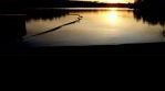 Otin kauniista ilta-auringosta kuvan, kun se vielä paistoi järven päällä.
