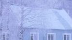 Lumiset talon puut. Kuva: Sirkka-Liisa Pakarinen