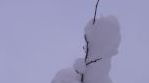 Lumiukko. Kuva: Tuula Nevalainen