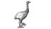 Madagaskarinstrutsi (Aepyornis maximus, Madagaskar sukupuutto:1600-luku?) Valtavan kokoisen lentokyvyttömän linnun muna oli maailman suurin. Madagaskarin strutsin tarina ja olemus muistuttavat jonkin verran Uuden -Seelannin moalintujen (Dinornithiformes, sp 1500-1800) sukupuuttotarinoita.
