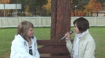 katso video