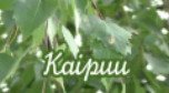 katso video