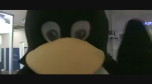 katso video