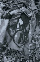 Huuto haudasta