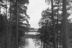 Kuva: (1950-luku)
Kalle Kultala