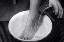 Kuva: Tolua kaadetaan jalkojenpesuvatiin. (1956) YLE kuvanauha.