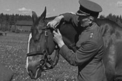 Kuva: Hevosen korkeakoulussa opitaan koluratsastusta. Opettajana eversti Viljo Forssell.