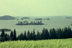 Kuva: Koitere-järvi Ilomantsissa. YLE kuvanauha.