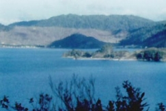 Kuva: Uusi-Seelanti - maisema. (1978) YLE kuvanauha.