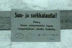 Kuva: Suu- ja sorkkatautivaroitus. (1959) YLE kuvanauha.