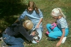 Kuva: Lapset silittävät loukkaantunutta Topi-koiraa. YLE kuvanauha. 