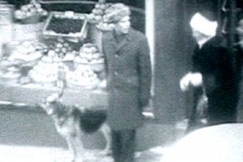 Kuva: Koiravahdiksi pantu mies ihmettelee koiran vaihtumista (1963). YLE kuvanauha.
