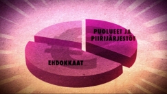 Kuva: Ehdokkaan vaalirahoitusta kuvaava kaavio(YLE Kuvanauha)