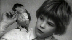 Kuva: Poika ja kpipapukaija (1972) Yle kuvanauha