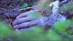 Kuva: Onni Happosen ruumis lytyi metsn haudattuna. YLE kuvanauha.