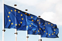 Bild: EU-flaggor, YLE bildband 1994