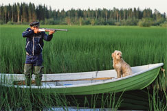 Kuva: Metsstj lintujahdissa koiran kanssa. Kuva: Seppo Nyknen.