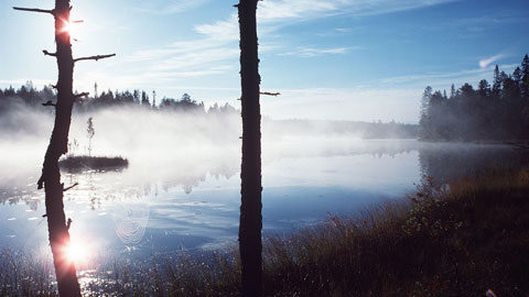 Auringonnousua ja usvaa järvellä. Kuva: Pentti Kallinen/YLE
