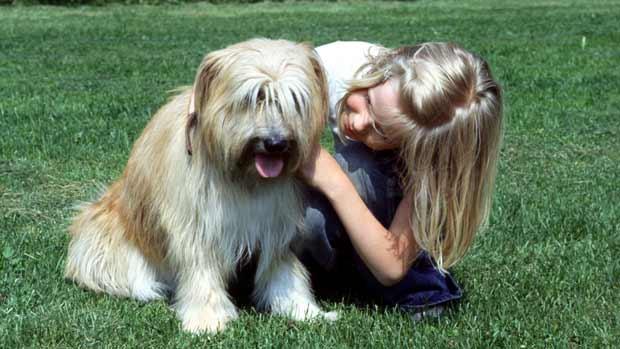 Koira - lapsen paras ystävä? Kuva: Arja Lento, 1980-luku, Yle