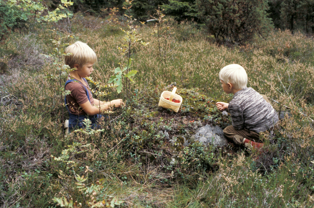 Vie lapsi luontoon. Kuva: Arja Lento, 1977, Yle