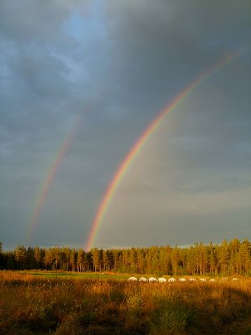 Kevään herkyyttä