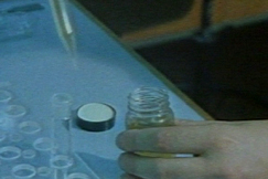 Kuva: Näytteitä testaan laboratoriossa. (1984) YLE kuvanauha.