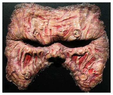 Lordin maski (copyright YLE)