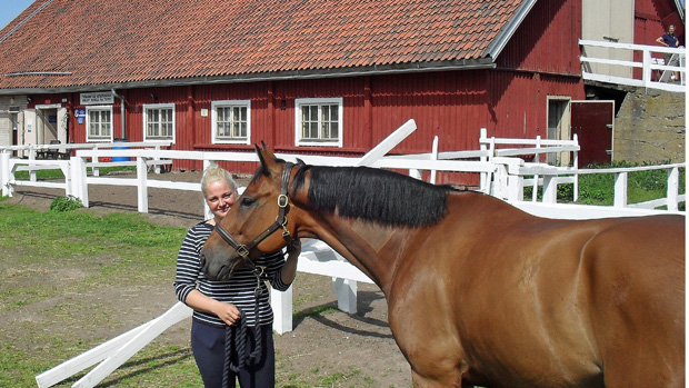 Lotan oma hevonen. Kuva: Marjo Lundvall, Yle