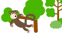 Nallepaini osa 1: Apinanleipäpuu