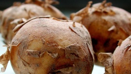 Onko peruna huonoksi leimattu ja tylsä hiilaripommi? Kuva: Arja Lento, YLE Kuvapalvelu