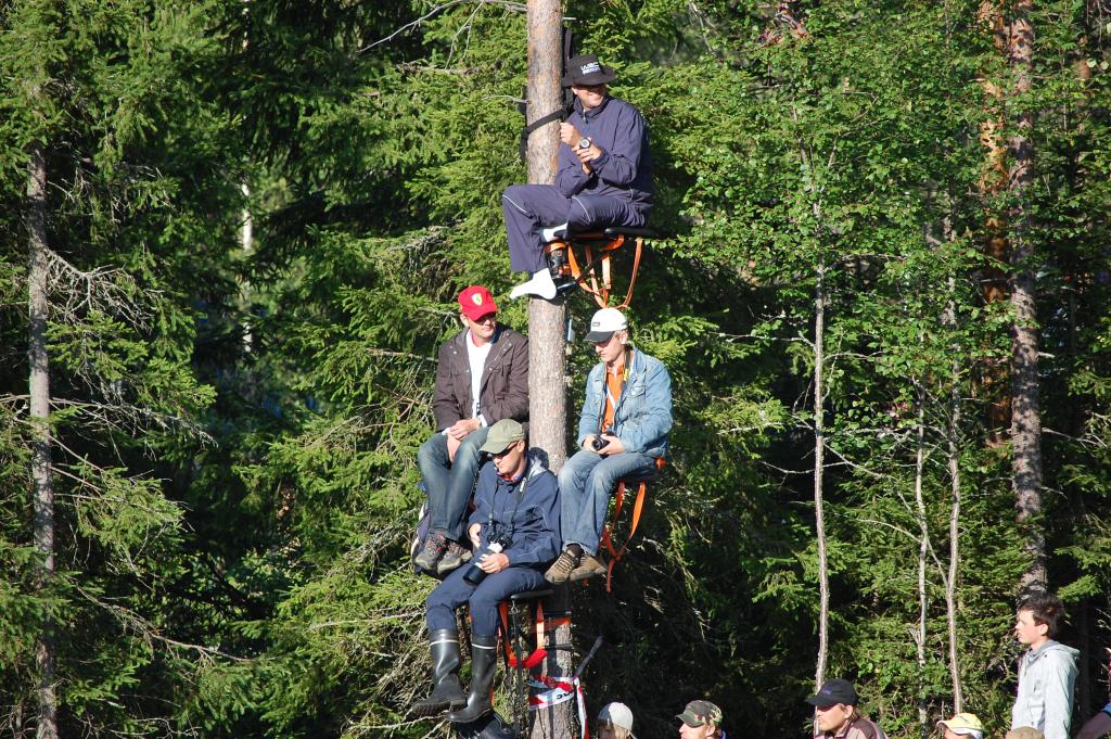 Paremmat katselupaikat Hirvimäellä