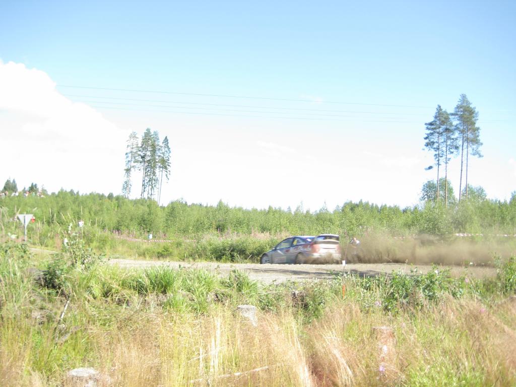 Latvala surkee2