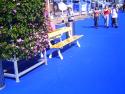 Sininen matto sekä kukkameri 